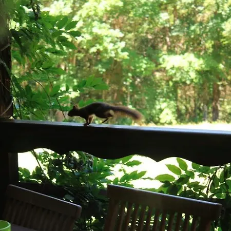 Chalet-sixtine A Large Family Of 600m2 Near La Clusaz * Saint-Jean-de-Sixt